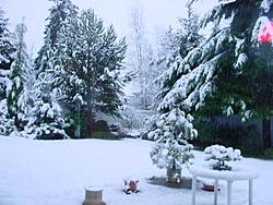 Snow pics-snow5.jpg