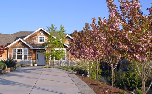 Name:  CherryDrive-1.jpg
Views: 49
Size:  97.9 KB