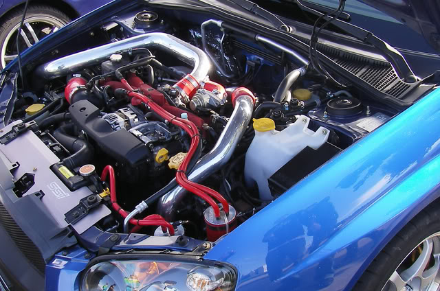 Name:  Wingless2.jpg
Views: 16
Size:  94.5 KB