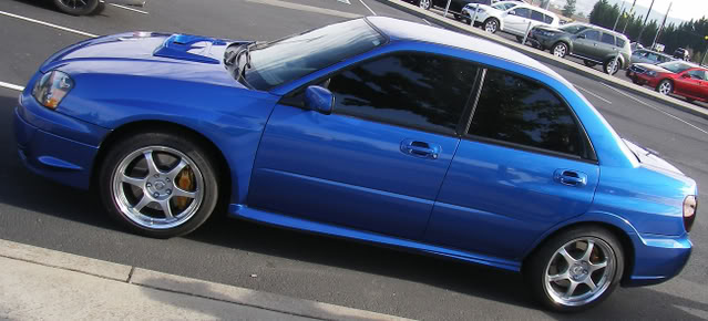 Name:  Wingless3.jpg
Views: 16
Size:  55.0 KB