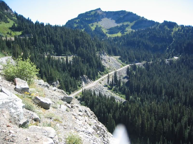 Name:  Switchbacks20to20Chinook20pass.jpg
Views: 25
Size:  110.8 KB
