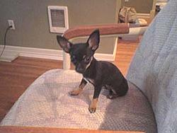 Hello again :)-dsc00232-copy.jpg