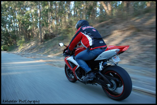 Name: DSC_0290-1.jpg
Views: 45
Size: 67.9 KB