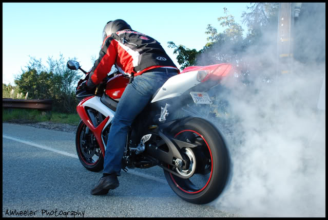 Name: DSC_0317-1.jpg
Views: 44
Size: 63.9 KB