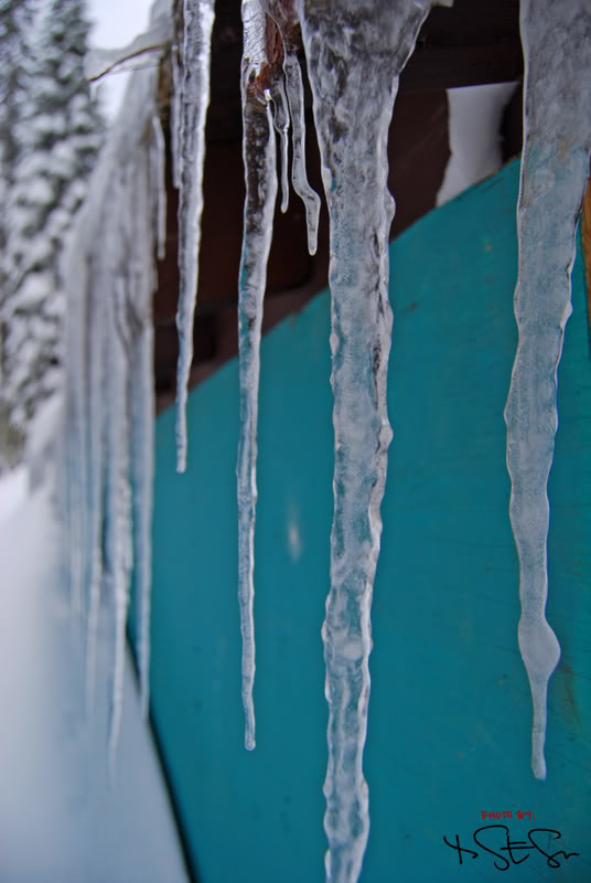 Name:  DSC_0160.jpg
Views: 68
Size:  59.8 KB