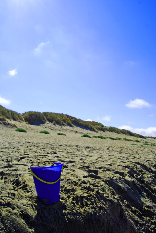 Name:  DSC_0109.jpg
Views: 75
Size:  99.4 KB