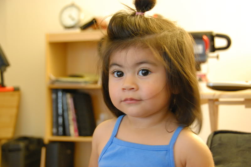 Name:  DSC_0020.jpg
Views: 80
Size:  73.5 KB