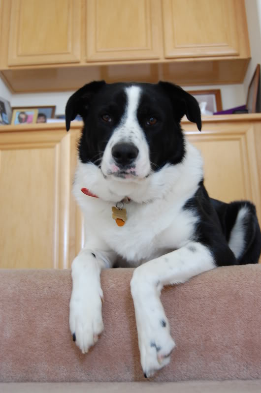 Name:  DSC_0166.jpg
Views: 80
Size:  74.8 KB