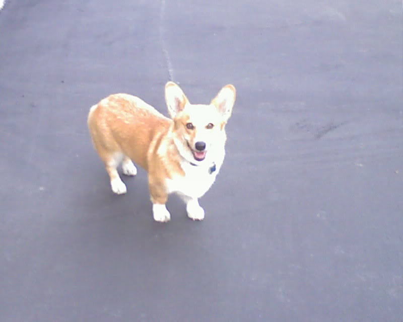Name:  IMAGE_044.jpg
Views: 21
Size:  27.1 KB