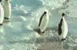 Name:  9590.gif
Views: 114
Size:  417.4 KB
