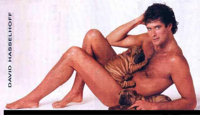 Name:  david-hasselhoff-img_2.jpg
Views: 20
Size:  28.3 KB