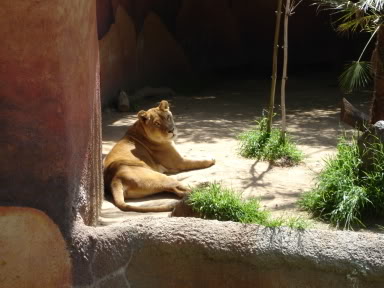 Name:  Picture027.jpg
Views: 12
Size:  28.6 KB