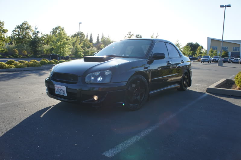 Name:  DSC02867-1.jpg
Views: 98
Size:  64.0 KB