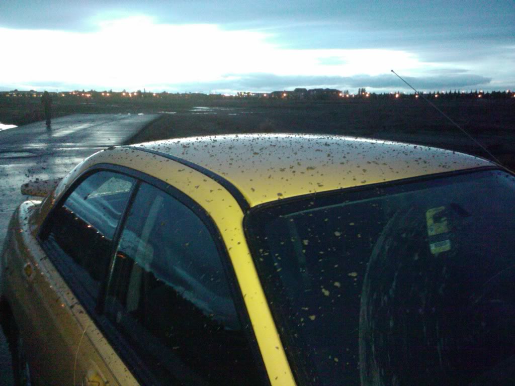 Name:  2010-10-24182556.jpg
Views: 84
Size:  88.9 KB