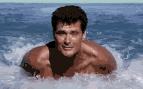 Name:  hoff.gif
Views: 19
Size:  198.9 KB