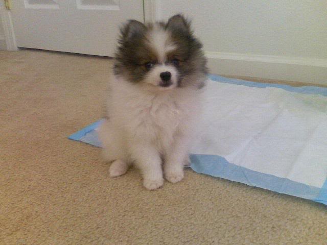 Name:  66.jpg
Views: 15
Size:  32.4 KB