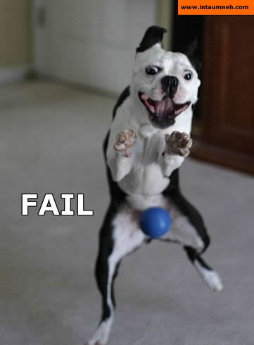 Name:  fail_dogball.jpg
Views: 14
Size:  15.7 KB