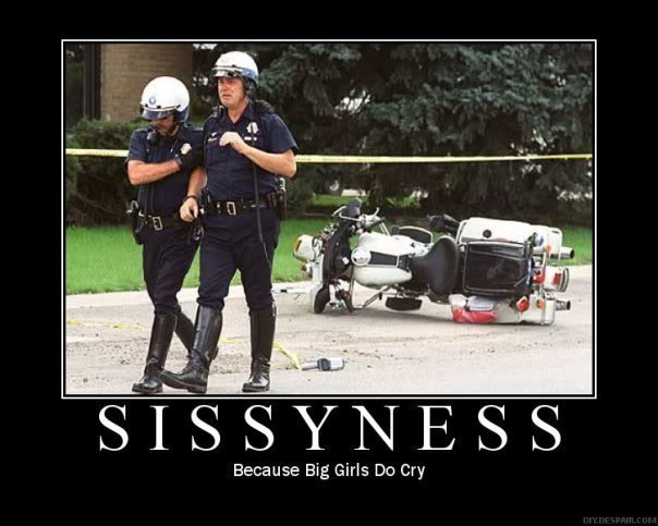 Name:  sissyness.jpg
Views: 19
Size:  45.0 KB