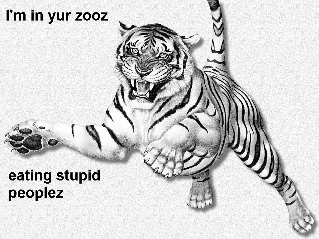 Name:  Tiger.jpg
Views: 12
Size:  173.0 KB