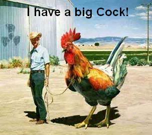 Name:  rooster.jpg
Views: 15
Size:  18.5 KB