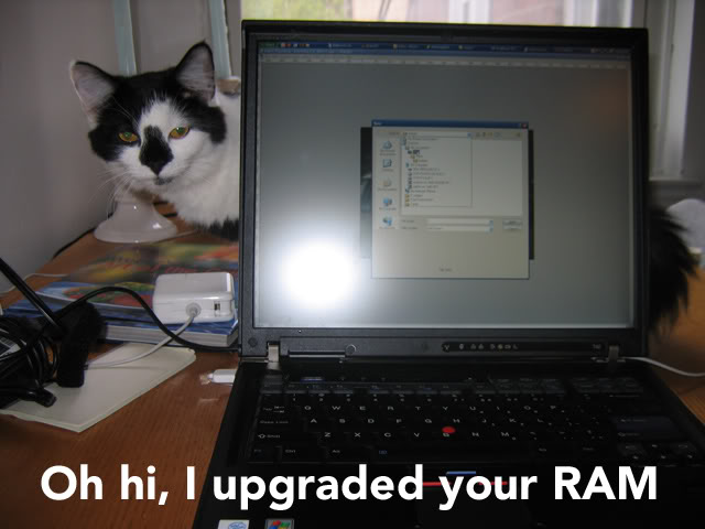Name:  catram.jpg
Views: 20
Size:  42.8 KB