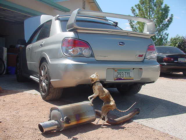 Name:  MVC-022S.jpg
Views: 20
Size:  37.3 KB