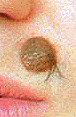 Name:  APMoley3.gif
Views: 19
Size:  9.7 KB