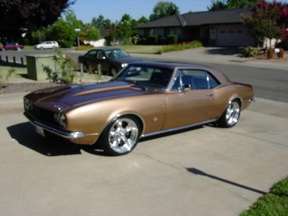 Name:  67camaro001.jpg
Views: 18
Size:  28.6 KB