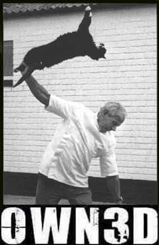 Name:  owned-cat.jpg
Views: 14
Size:  12.9 KB