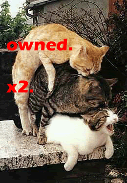 Name:  ownedthreecats-Skrutor.gif
Views: 11
Size:  77.2 KB