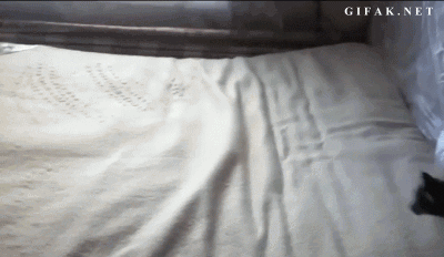 Name:  EoWTyuE.gif
Views: 13
Size:  1.51 MB