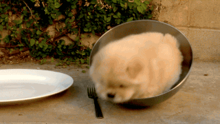 Name:  Fr3oexg.gif
Views: 21
Size:  1.84 MB