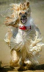 Random Picture Thread !!-bitch.jpg