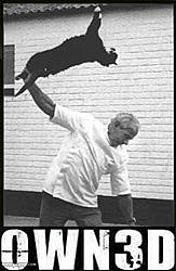 Wednesday, go hump yourself-owned-cat.jpg