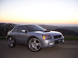 Bling Bling !-100_1718bling.jpg