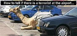 Thursday (breaking all the rules at 12:05am)-camel_parking.jpg
