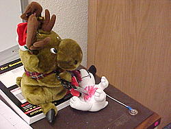 TGIF Folks-mvc-012f.jpg
