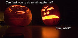 A tale of two pumpkins-01.jpg