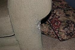 FS: couch-dsc_1006.jpg