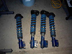 DMS and stock suspension-co.jpg