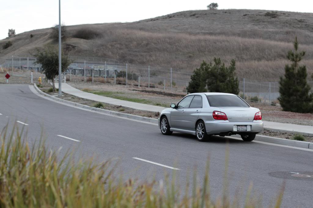 Name:  _MG_1038_zps3d35096e.jpg
Views: 170
Size:  71.8 KB