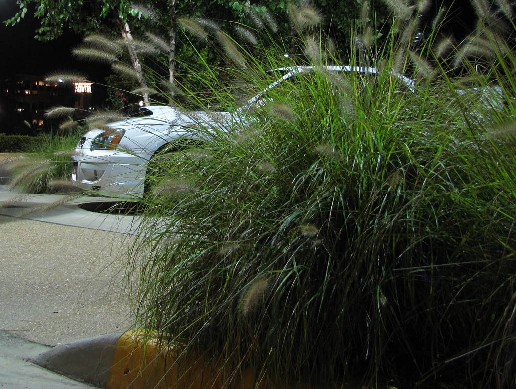 Name:  IMG_2431.jpg
Views: 39
Size:  255.6 KB