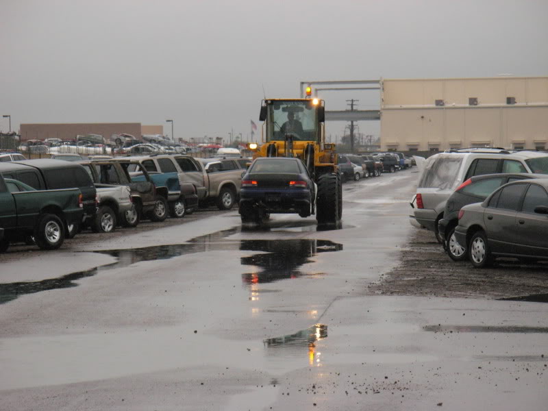 Name:  firstbatchjan24059.jpg
Views: 189
Size:  60.7 KB