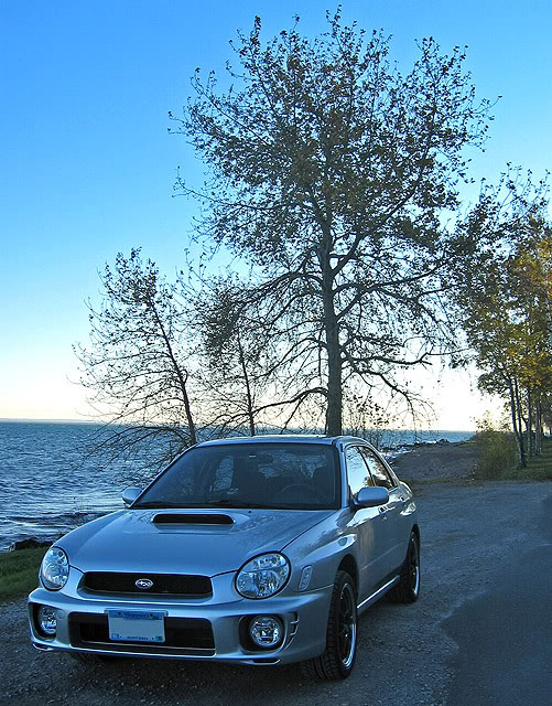 Name:  scoobs.jpg
Views: 27
Size:  131.8 KB