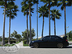 Official BLACK Subaru Gallery-freddie_travis_big_02.jpg