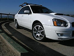Official WHITE Subaru Gallery-wrx1.jpg
