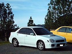 Official WHITE Subaru Gallery-picture-001.jpg