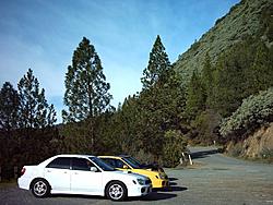 Official WHITE Subaru Gallery-picture-007.jpg
