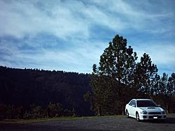 Official WHITE Subaru Gallery-picture-095.jpg