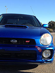 attn all bugeyes!-image-1480704624.jpg